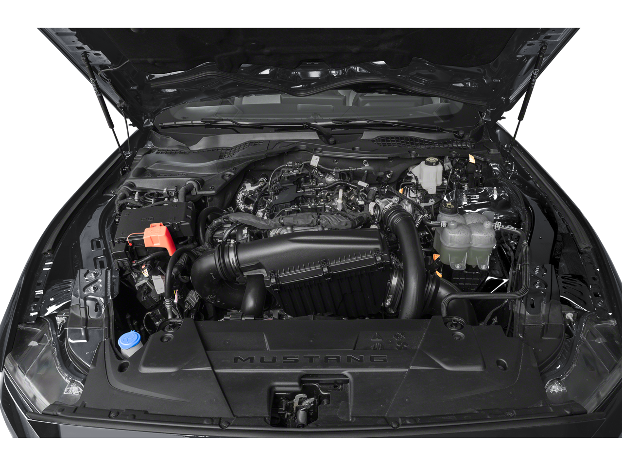 2024 Ford Mustang EcoBoost Premium EcoBoost Premium