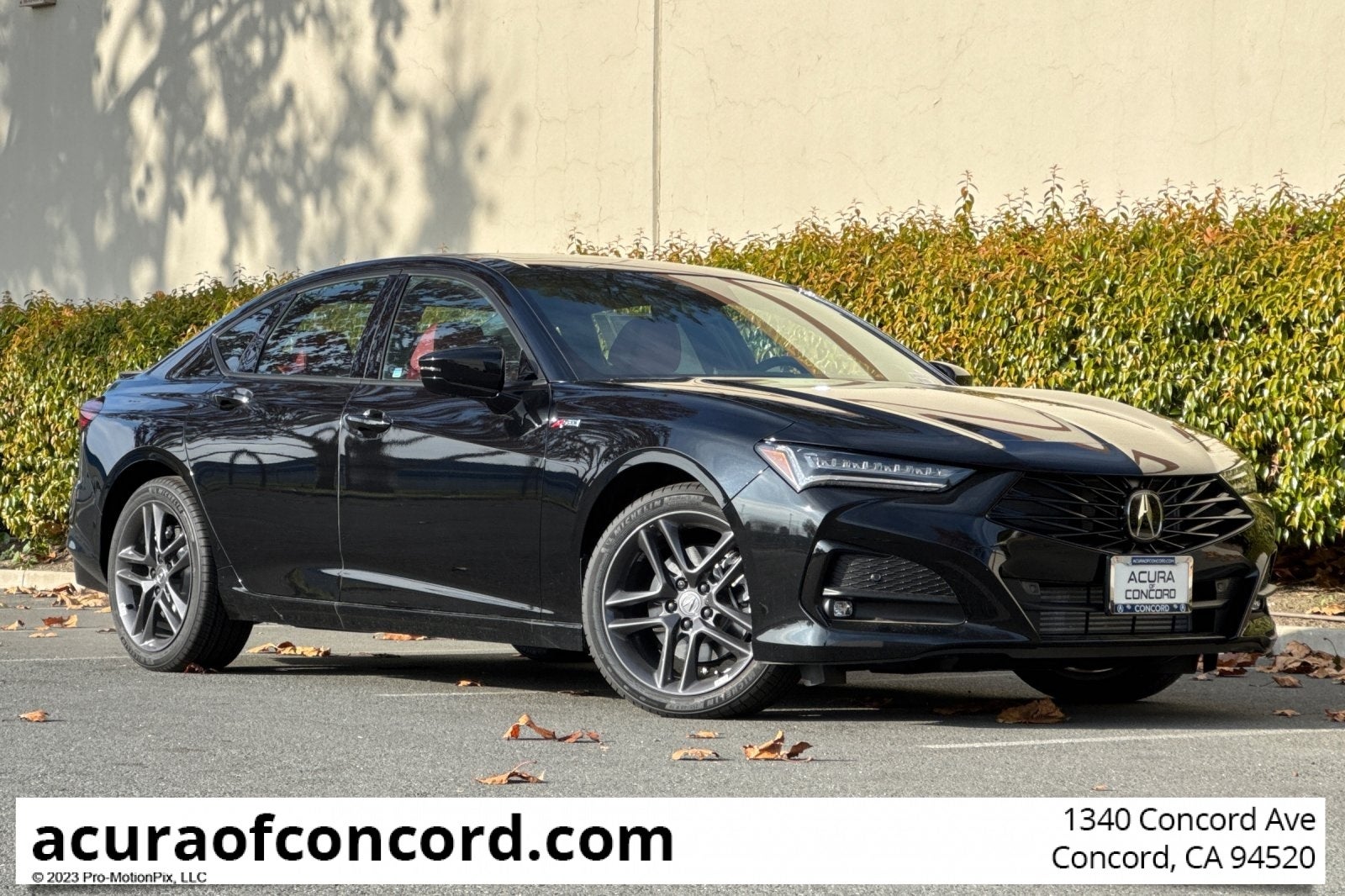 2025 Acura TLX SH-AWD A-SPEC