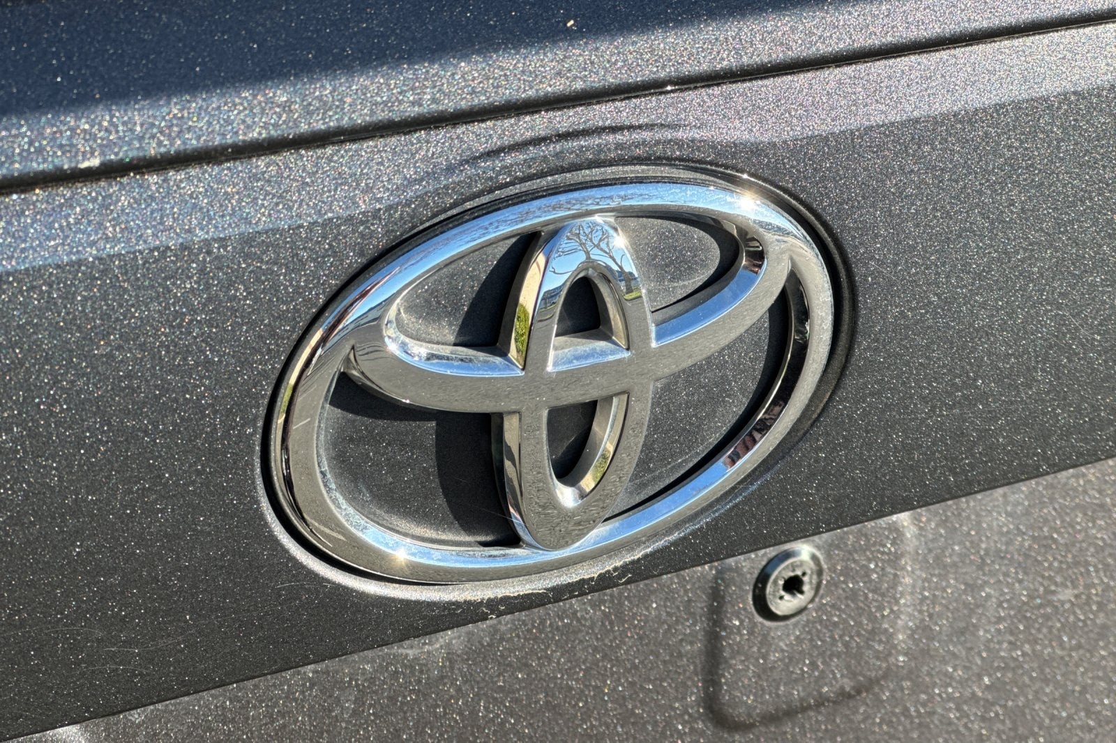 2024 Toyota RAV4 LE LE