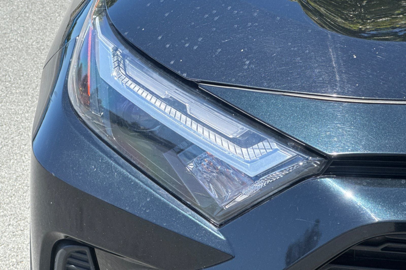 2024 Toyota RAV4 XLE XLE