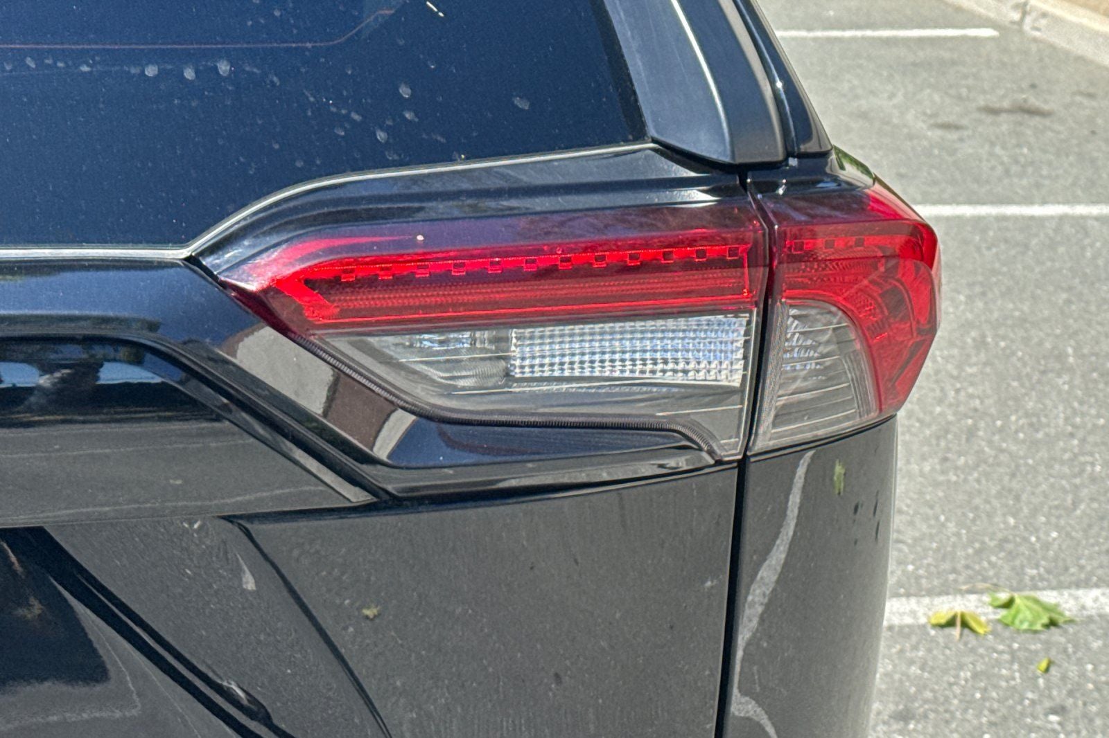2024 Toyota RAV4 XLE XLE